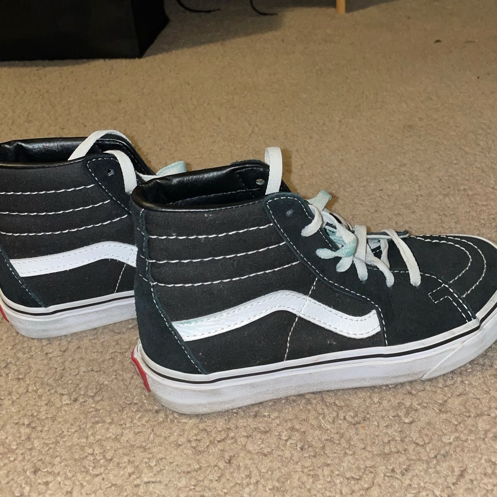 Vans Sk8 Highs